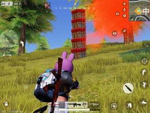 荒野最新爆料,揭秘神秘事件背后的真相  第1张