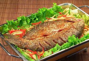 石家庄烤鱼爆料视频曝光,揭秘网红爆火背后的美味传奇 第1张 石家庄烤鱼爆料视频曝光,揭秘网红爆火背后的美味传奇 第1张