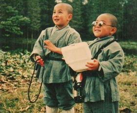 郝邵文最新爆料新闻事件,揭秘娱乐圈惊人内幕  第2张